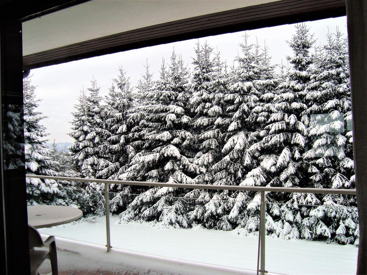 Holiday home Beja Winterberg